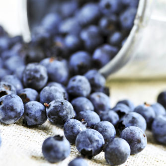 Wild Blueberries May Decrease Cardiovascular Disease Risk
