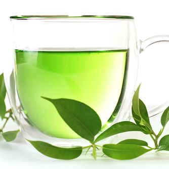 Green Tea Compounds Counteract Key Mechanism of Aging