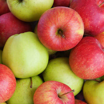 Apples Promote Immune Health