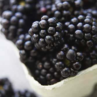 Wild Blackberries May Promote Brain Health
