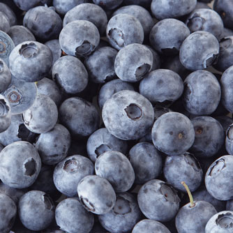 Blueberries May Lower Cholesterol