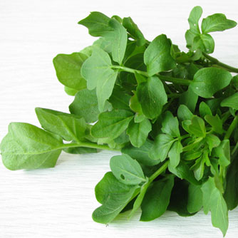 Watercress Lessens Exercise-Induced Oxidative Stress