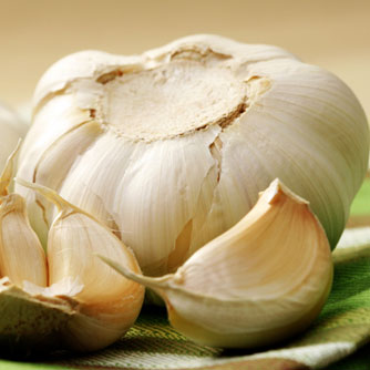 Garlic Extract Reduces High Blood Pressure