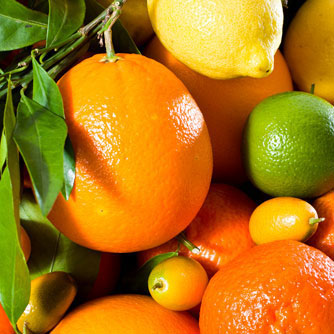 Citrus Fruits May Help Lower Men’s Cancer Risk