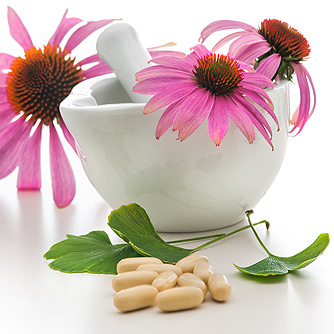 Echinacea May Help to Prevent Common Cold