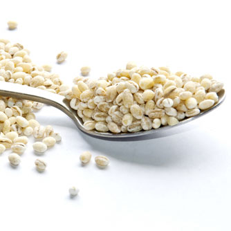 Barley Compounds May Help Weight Management Goals