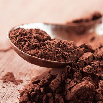 Cocoa Compounds May Prevent Weight Gain
