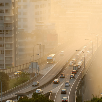 Polluted Air Affects Heart Physiology
