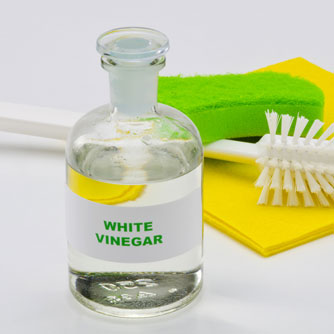 Vinegar Vexes Bacteria