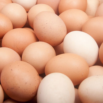 Choline Dietary Guidelines Insufficient