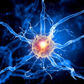 Scientists Coax Nerve Cells to Regrow & Restore Connections