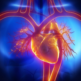 Natural Approaches Negate Cardiovascular Risks