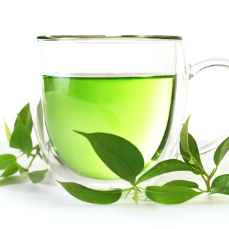 Green Tea May Prevent Weight Gain by Inhibiting Fat Absorption and Promoting Fat Use