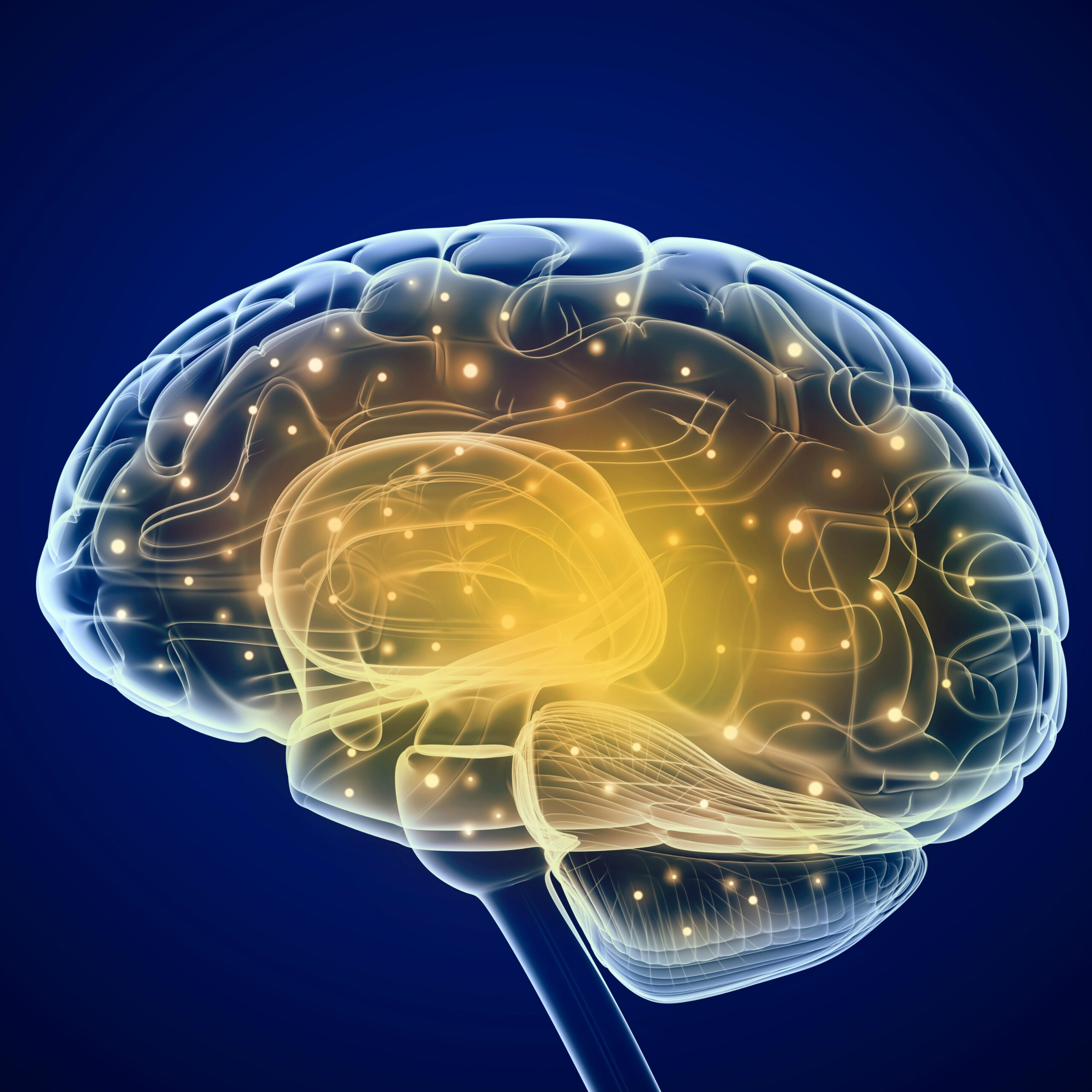 Negative Emotion Perception Altered With Magnetic Brain Stimulation