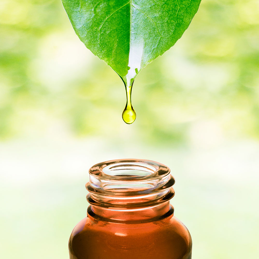 Lemongrass And Orange Essential Oils Are Antibacterial Agents