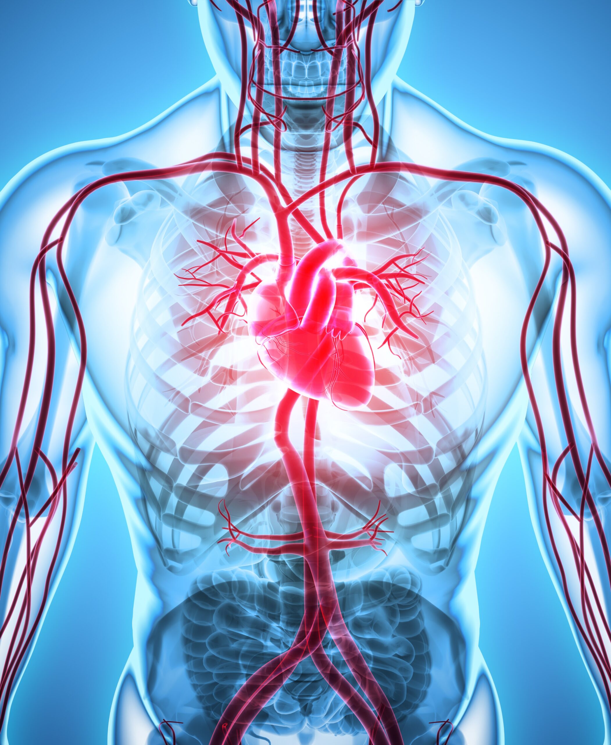 Potential Treatment & Cause Of Hardening Of The Arteries Identified