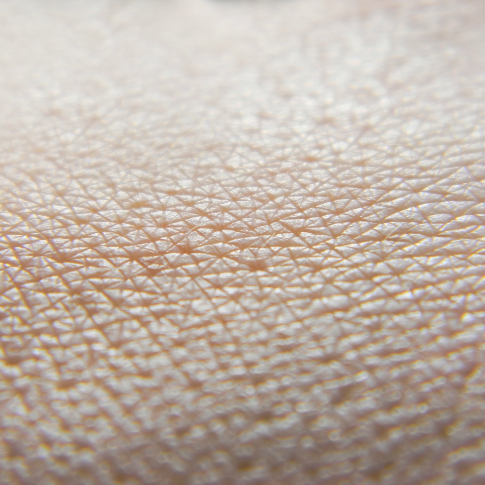 A Newly Discovered Organ May Be Under Your Skin