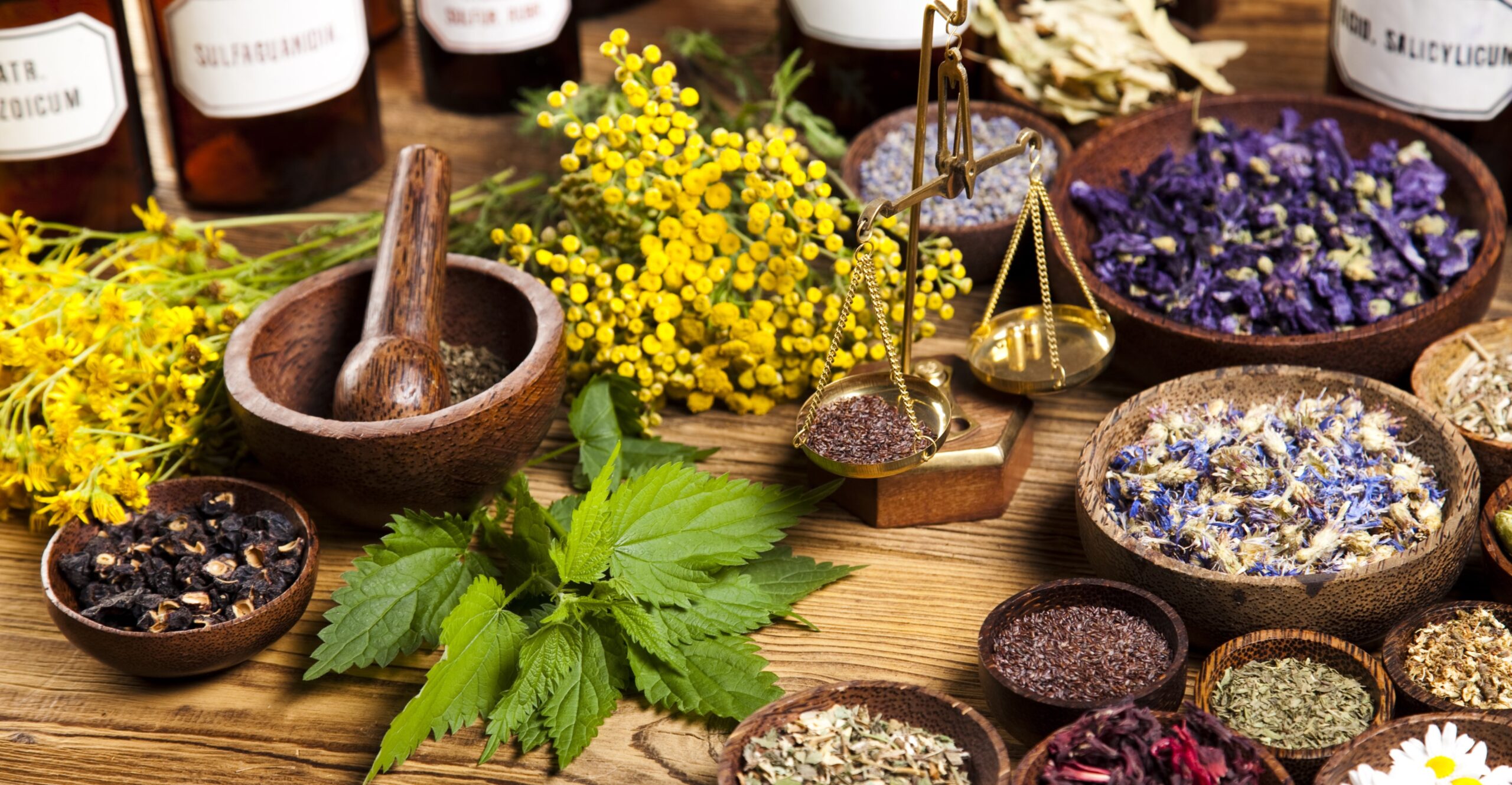Medicinal Herbs Found to Have Antioxidant & Anti-Tumor Effects