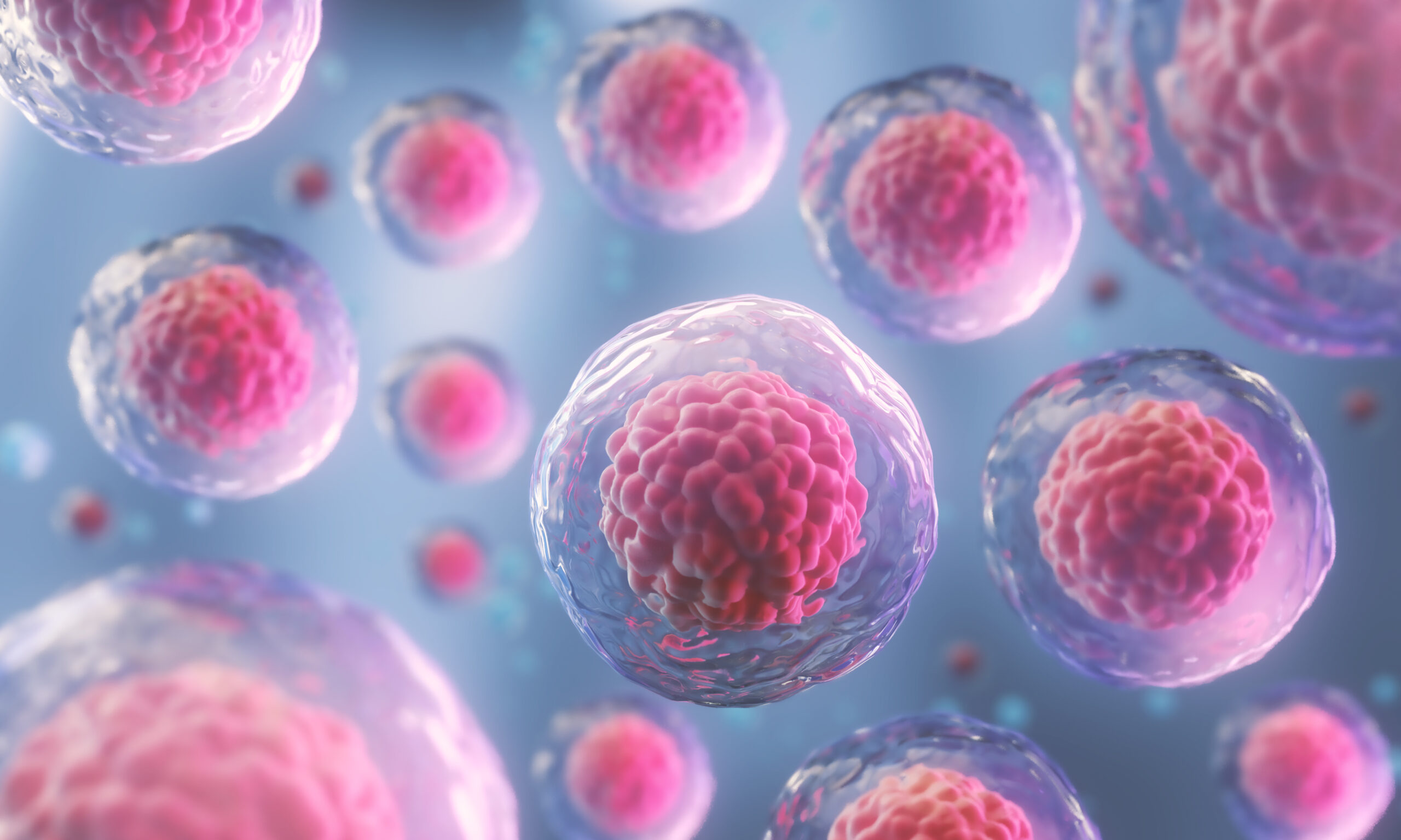 Old Human Cells Rejuvenated With Stem Cells