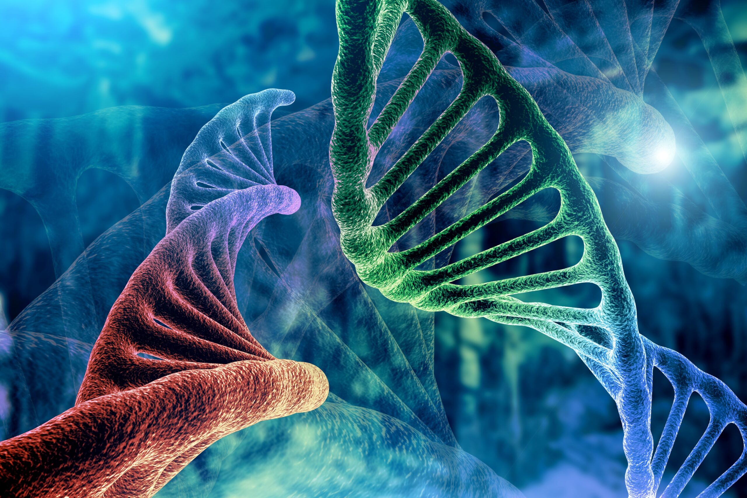 Memory Making Involves Extensive DNA Breaking
