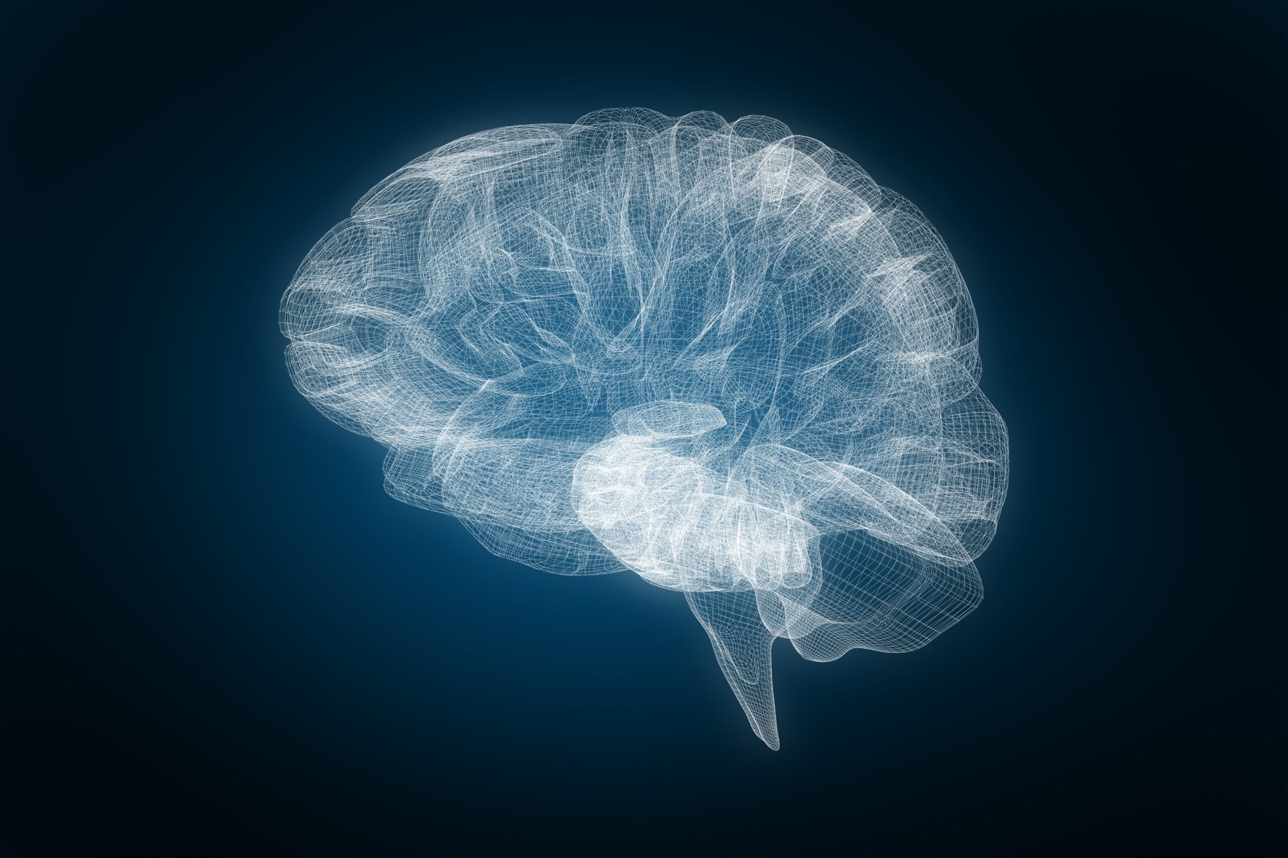 Study Looks At Brain Flow, And How People Achieve It