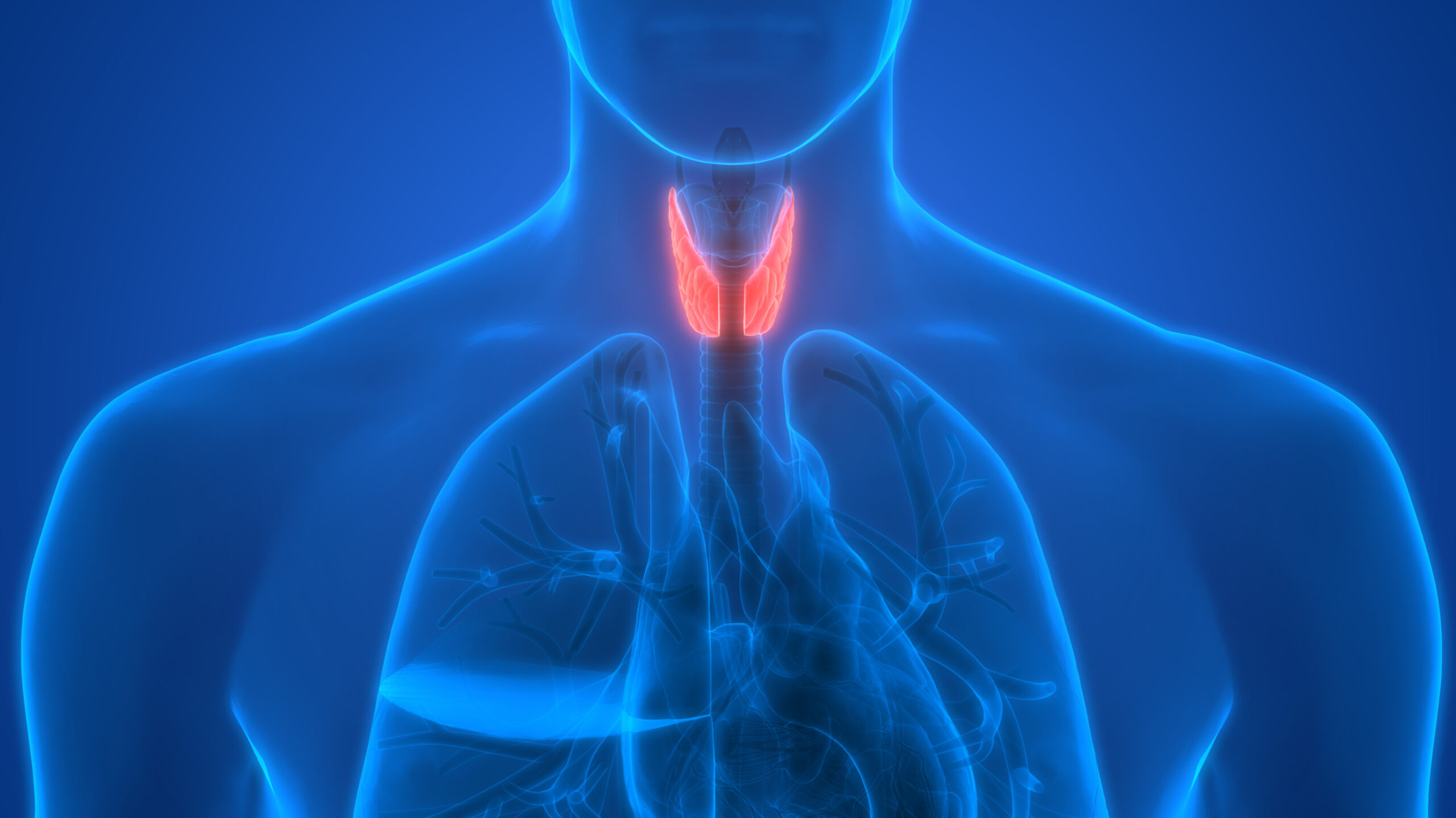 Thyroid Problems Are Escalating Rapidly In The UK