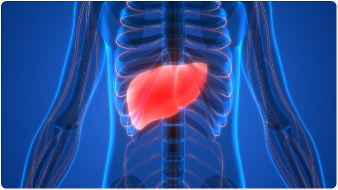 Study Links Synthetic Chemicals To Liver Damage