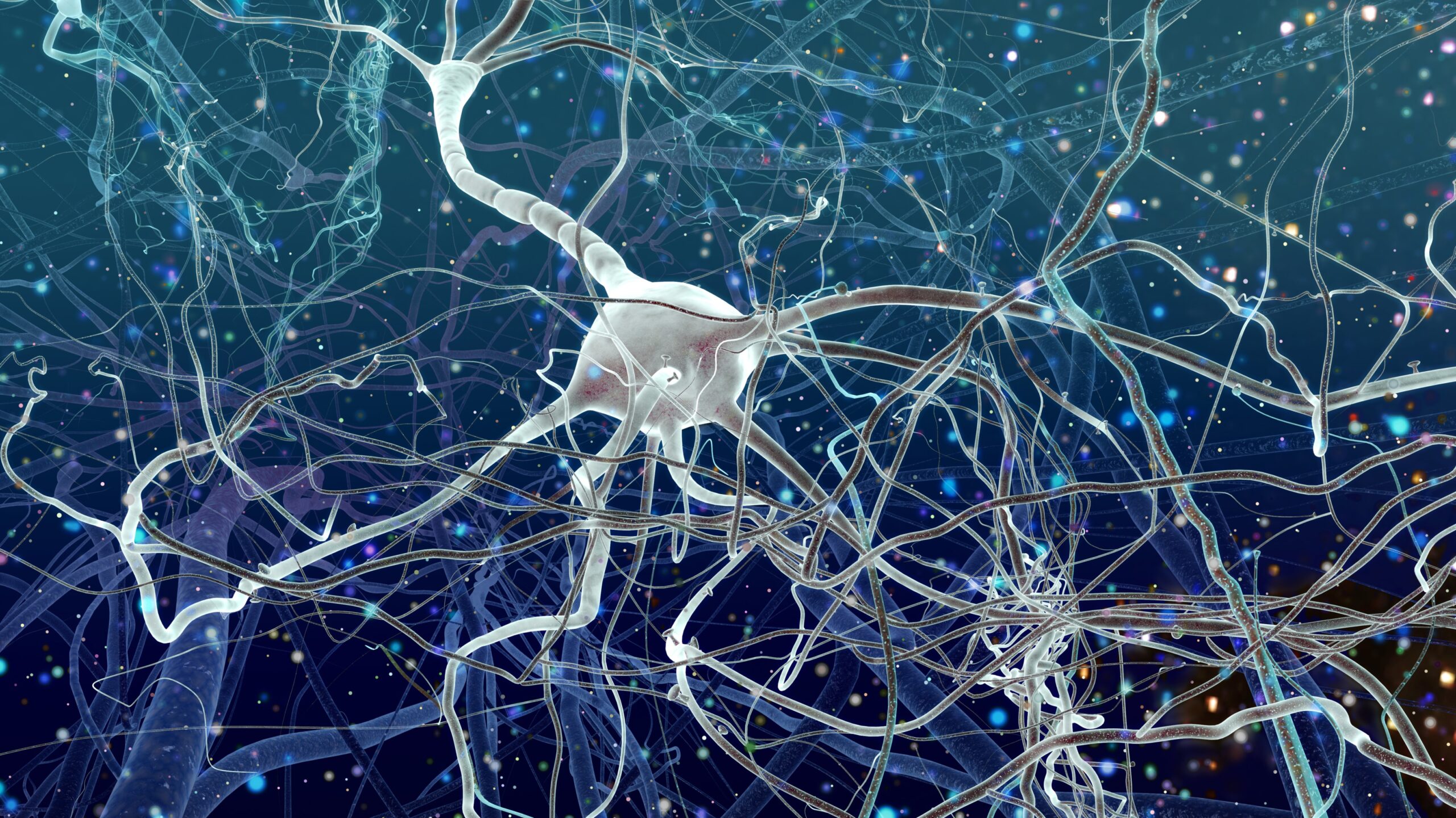 Study Identifies How The Brain Links Memories