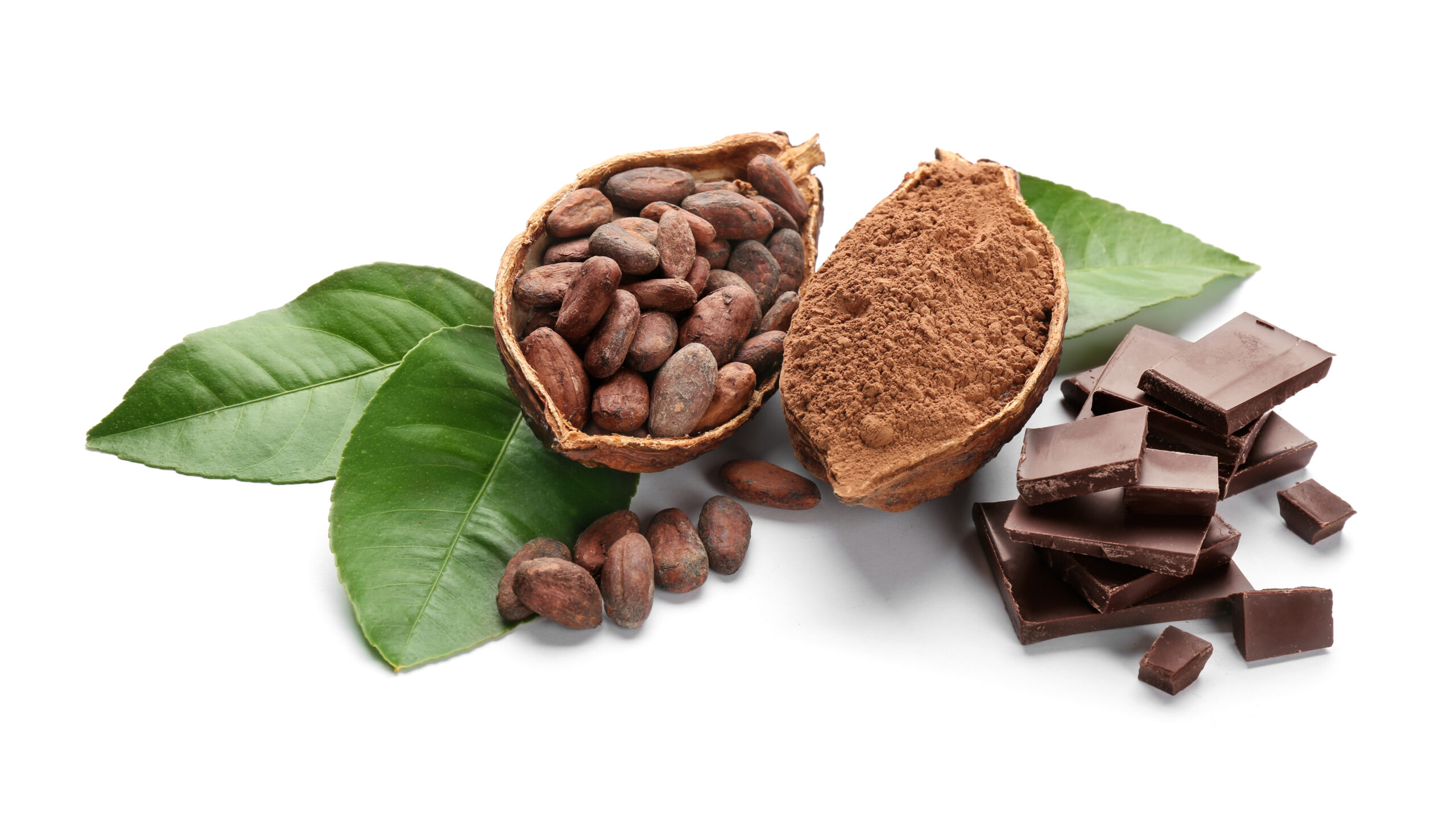 Cocoa Shown To Reduce Blood Pressure And Arterial Stiffness In First Real-Life Study
