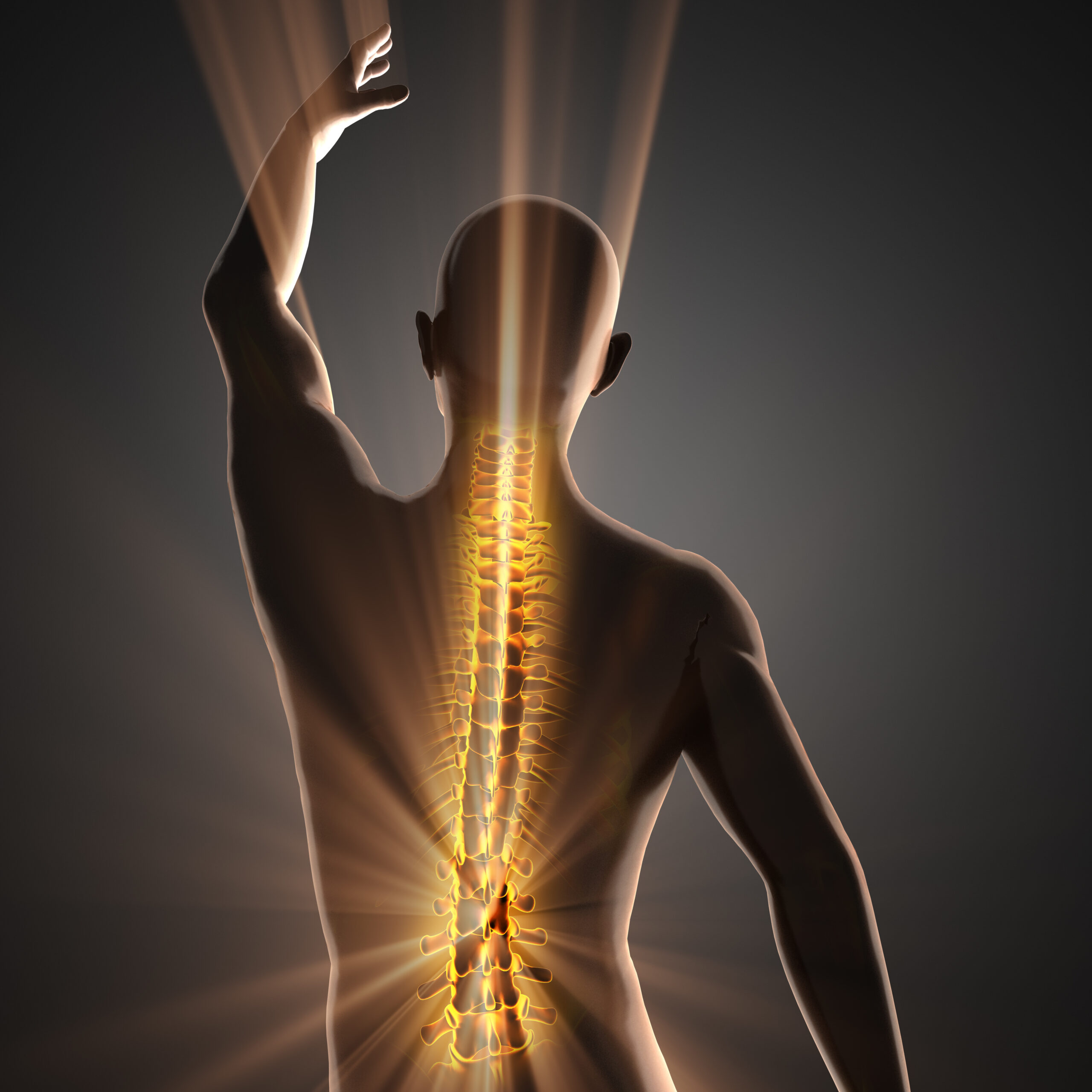 Untapped Potential Of Stem Cells Could Aid Repair Of Spinal Cord Damage