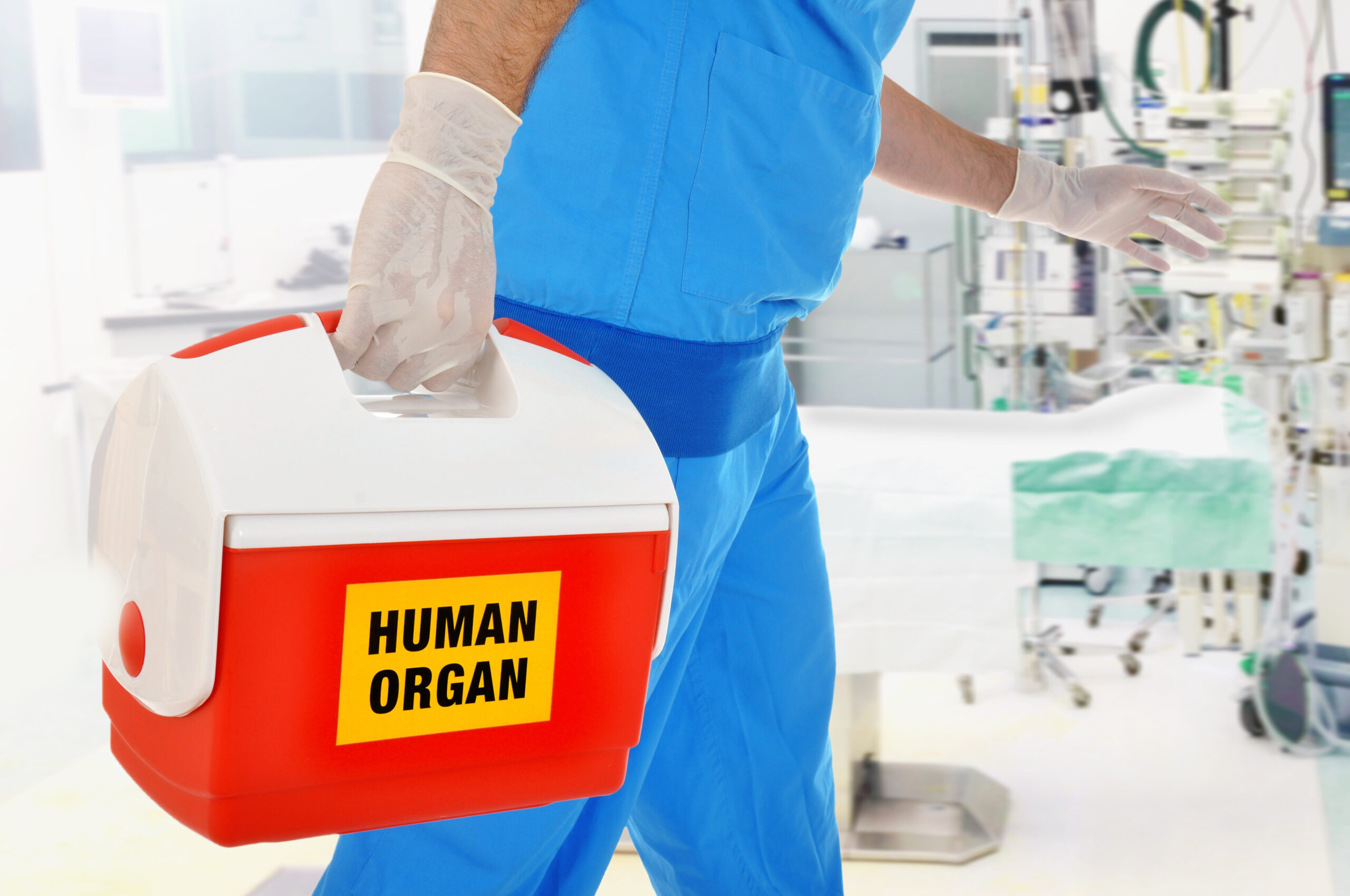 Living Donor Transplantation Offers A Safe Alternative For Liver Transplant Patients