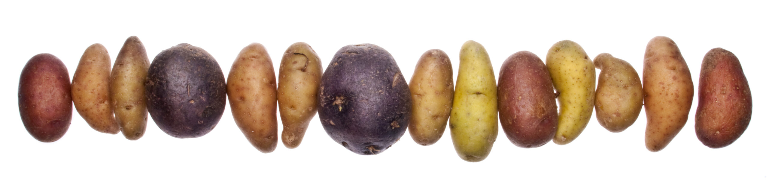 It's Not Them, It's You: Why Potatoes Don't Deserve Their Bad Reputation