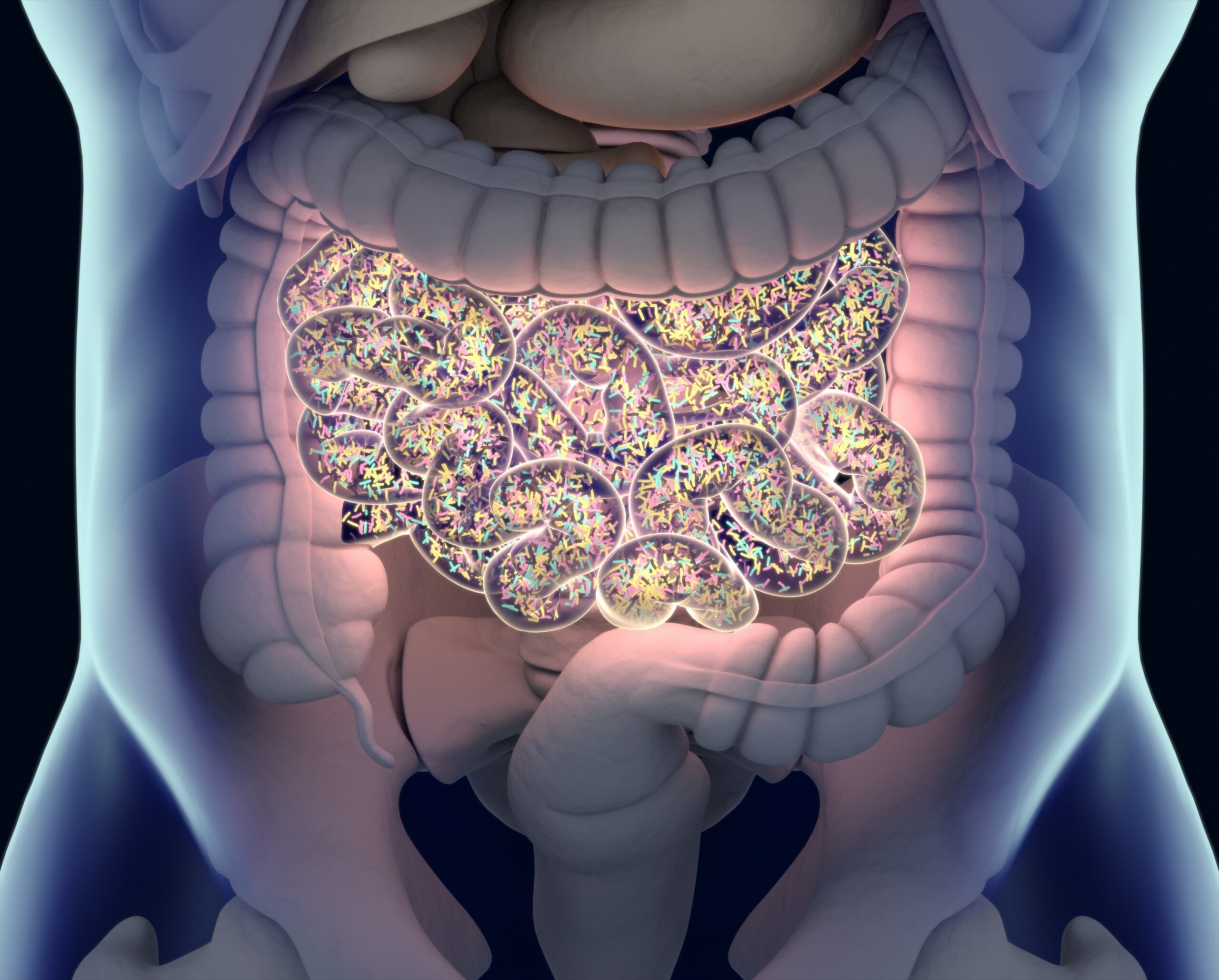 Leaky Gut Syndrome: What It Is, How To Diagnose It, And Steps To Improve Gut Health