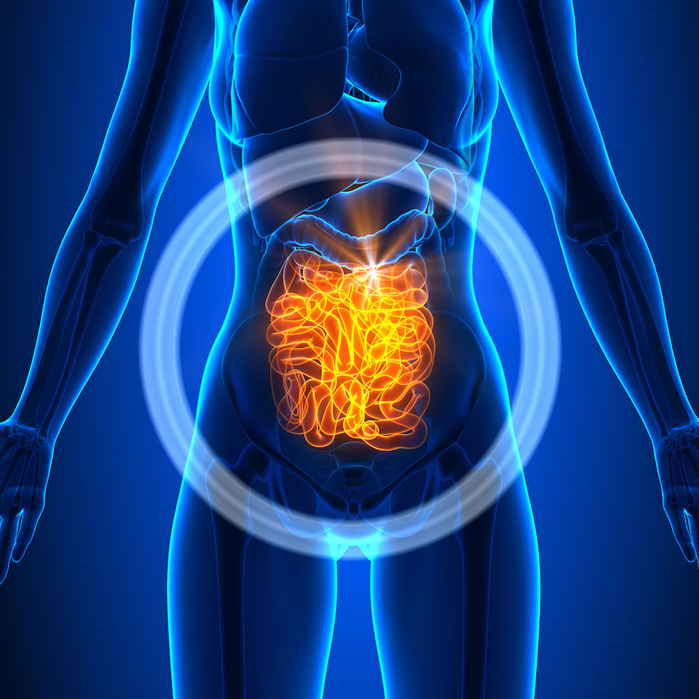 Gut Health: The Foundation of Overall Wellness