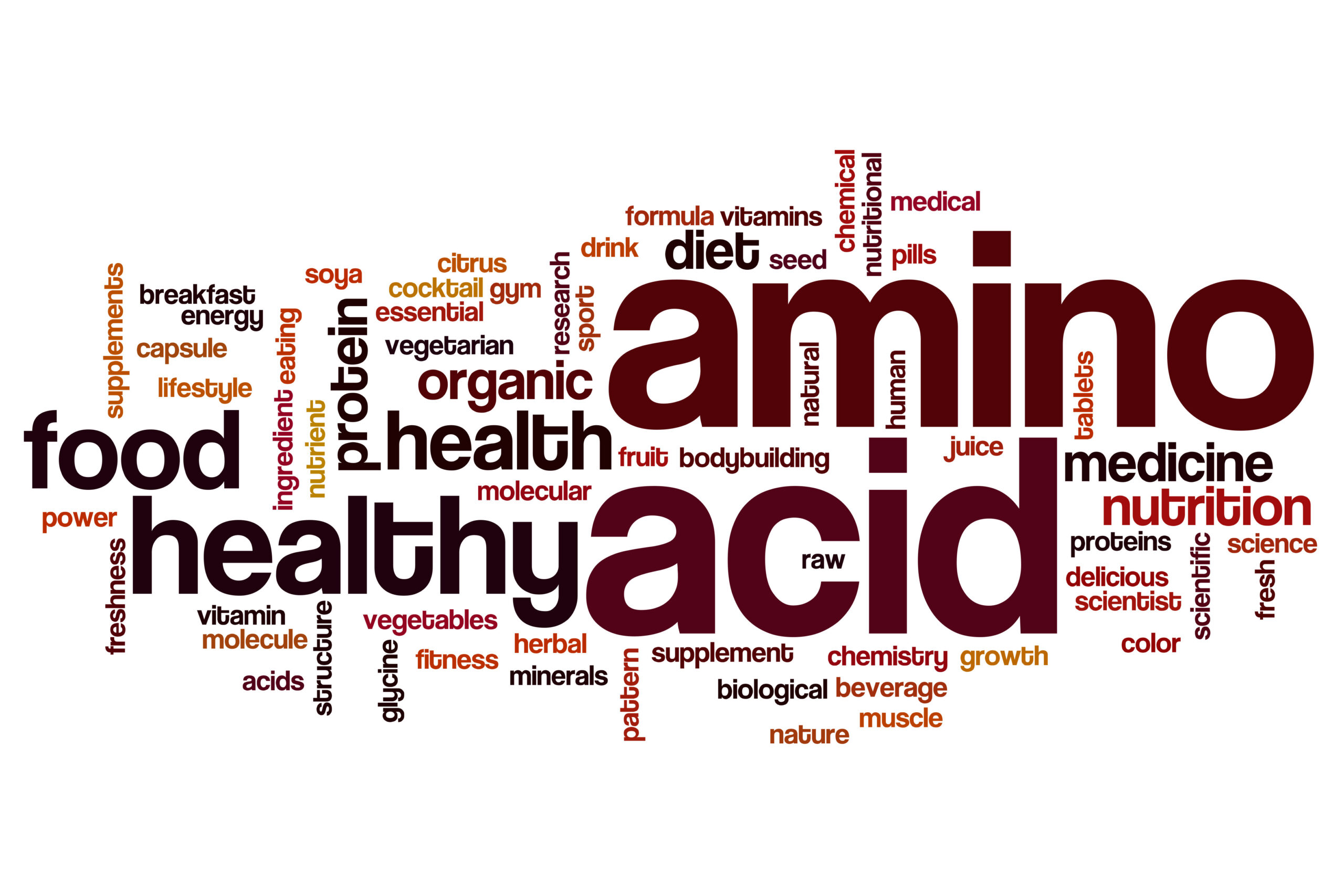 Protein, Amino Acids, And Muscle Mass