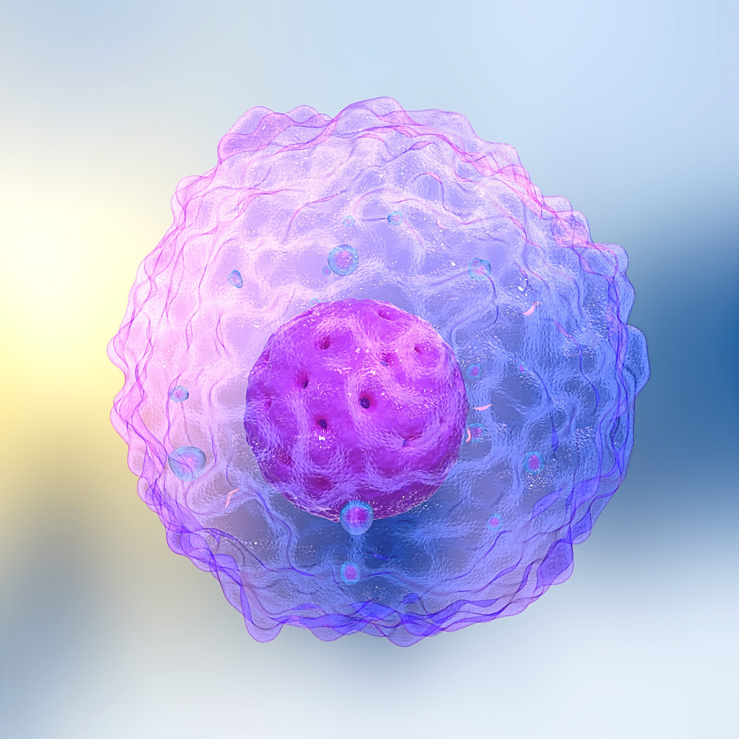 Cytotoxic T Cells May Be A Key To Longevity