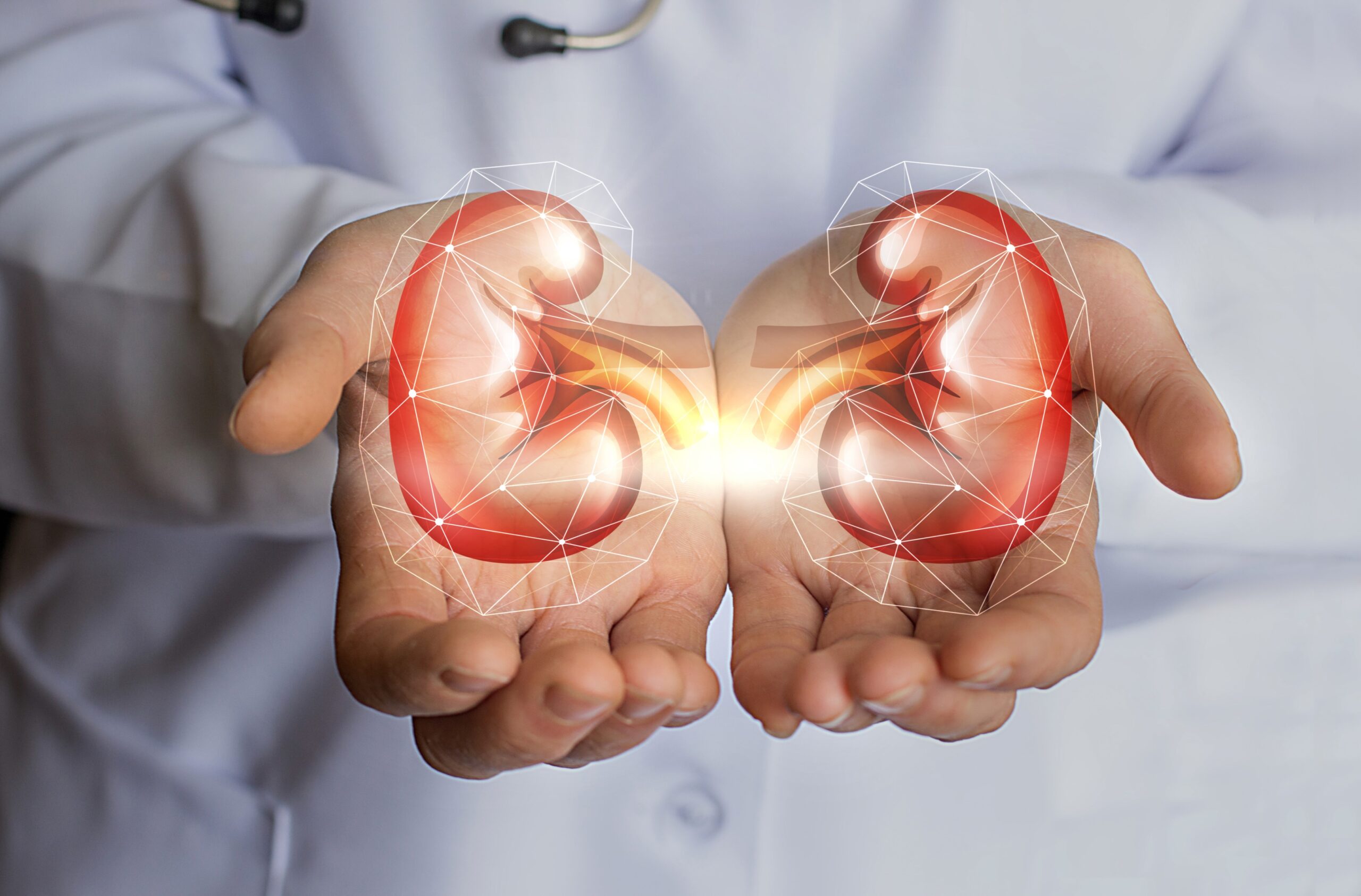 Experimental Made To Order Kidneys