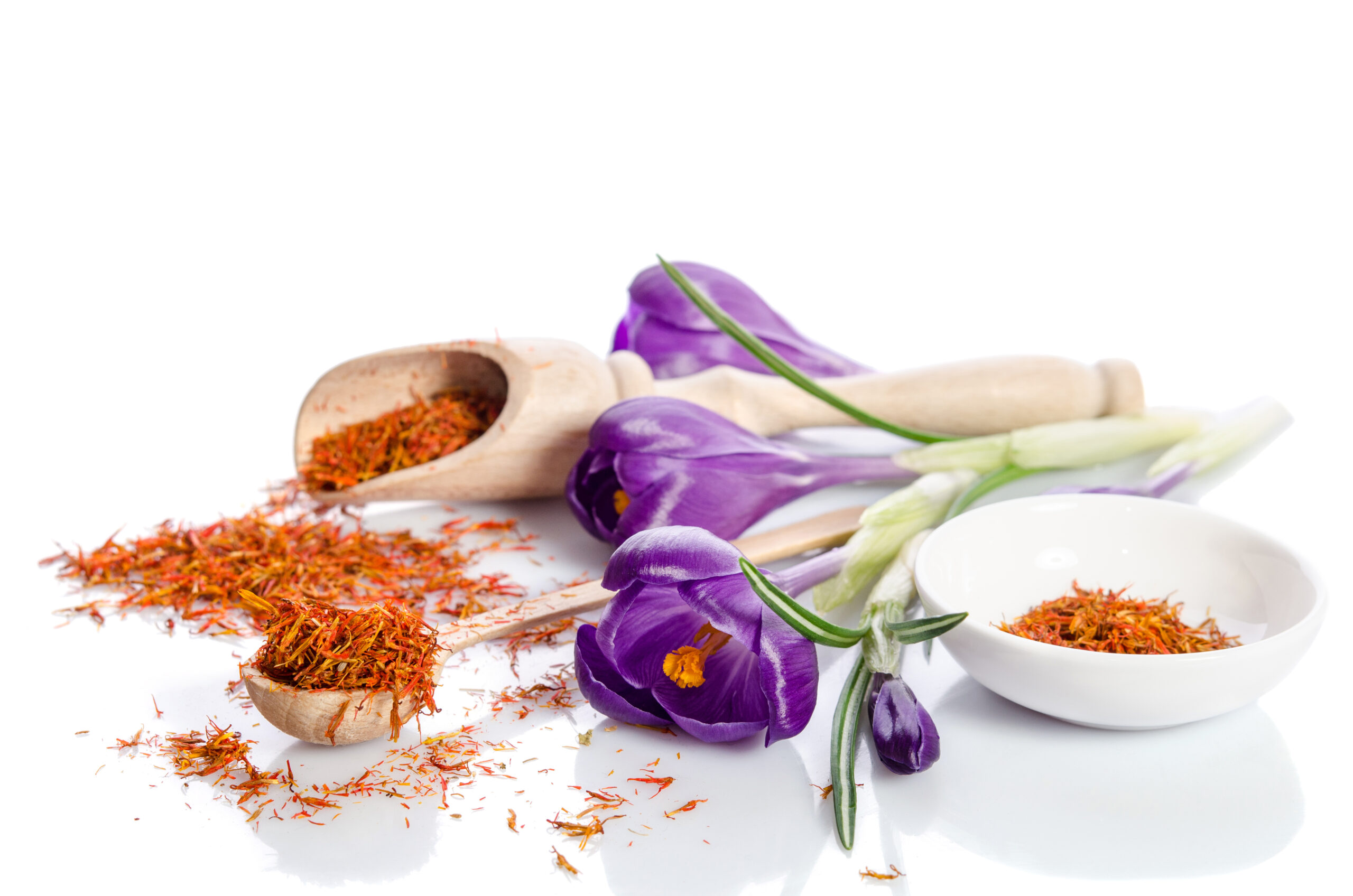 Saffron As A Therapeutic Spice