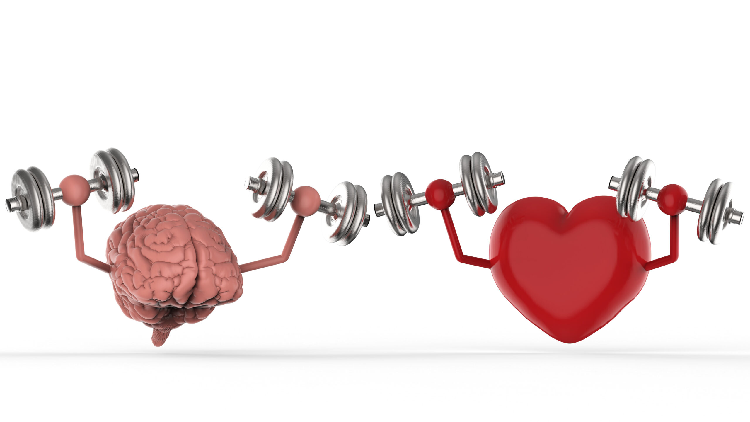 Weight Training Changes The Brain
