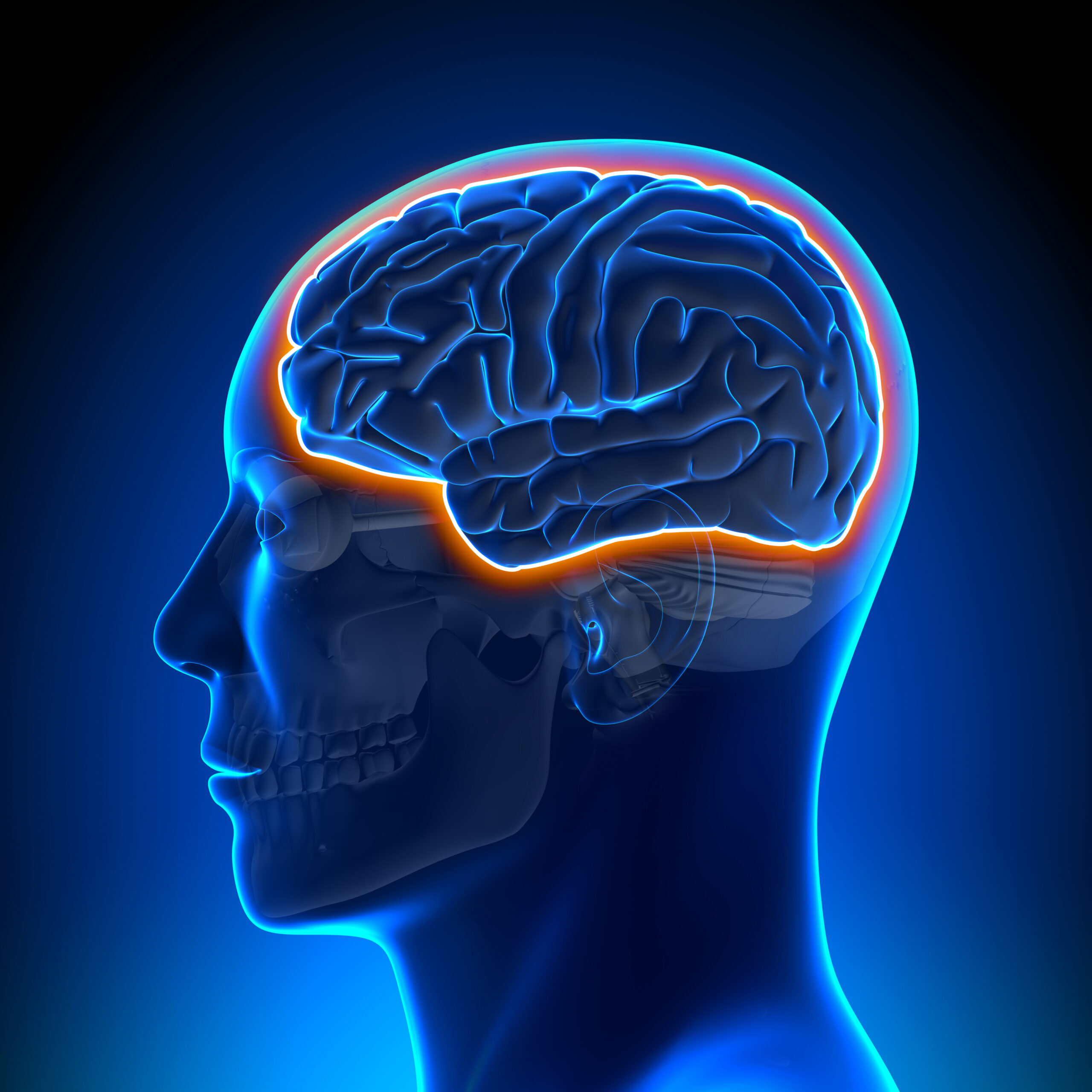 Drugs Targeting Brain Inflammation May Reverse Dementia