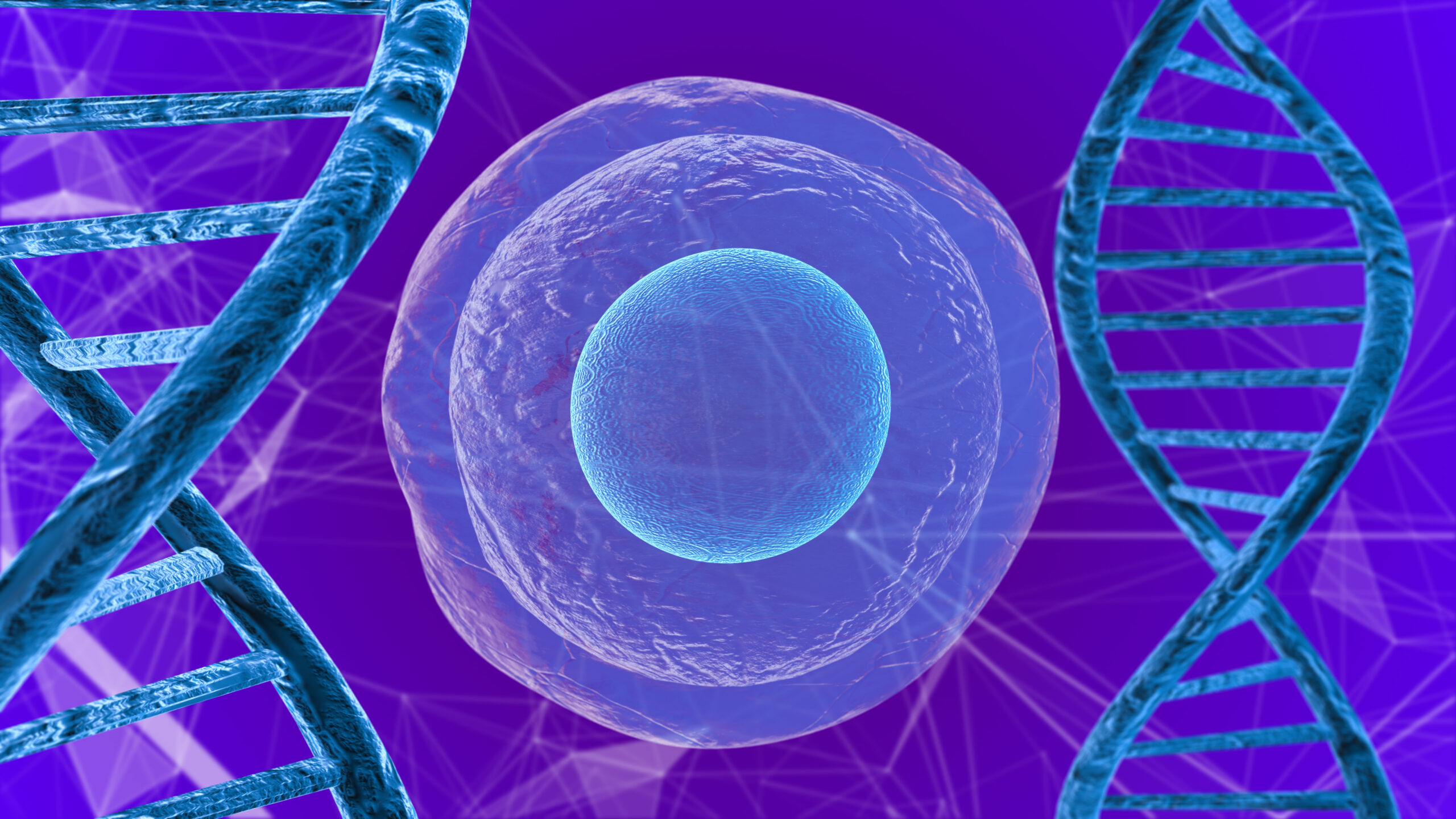 Human Cells Rejuvenated With Stem Cell Technology