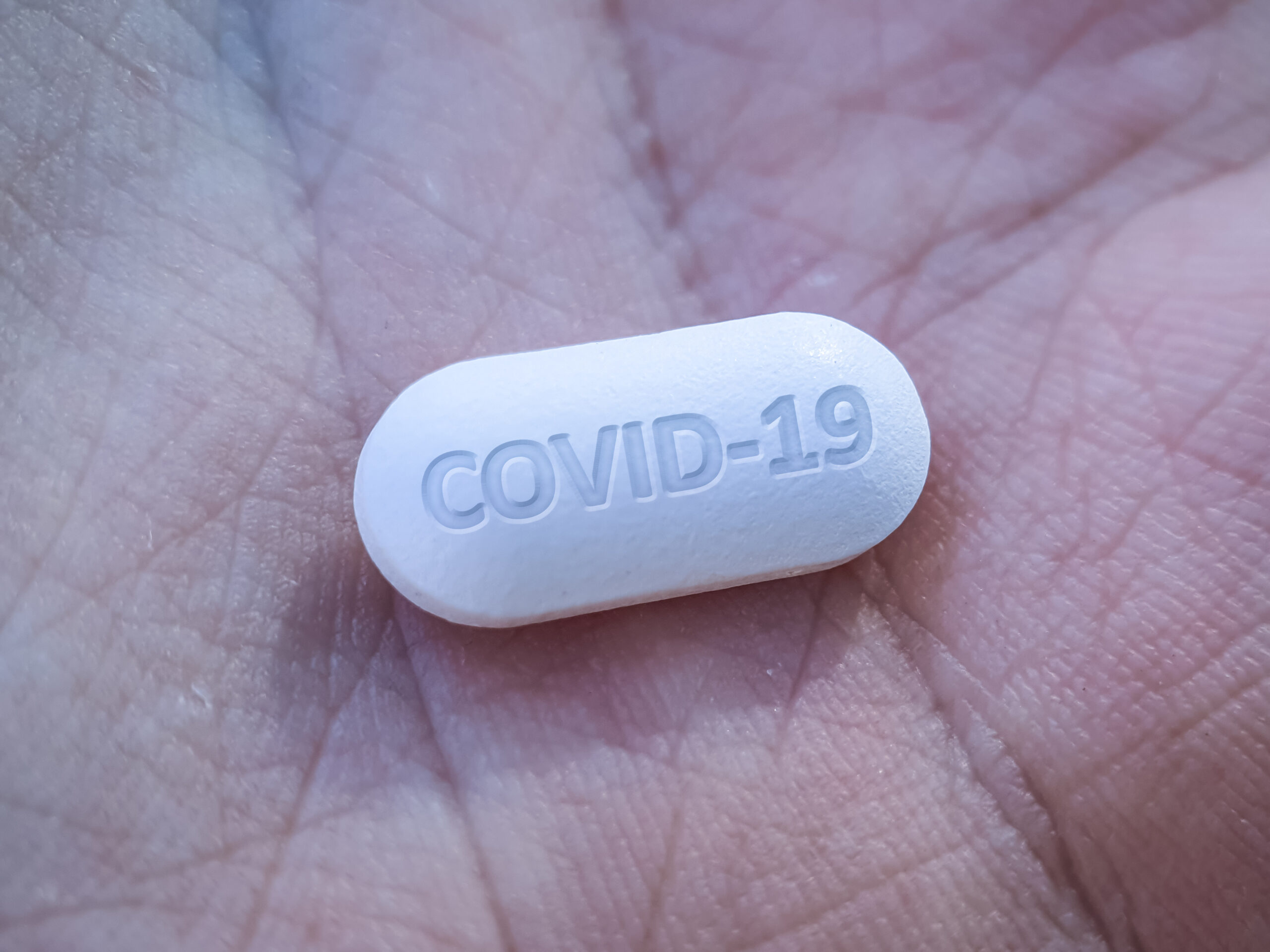 Proposal To Halt The COVID-19 Pandemic With Ivermectin