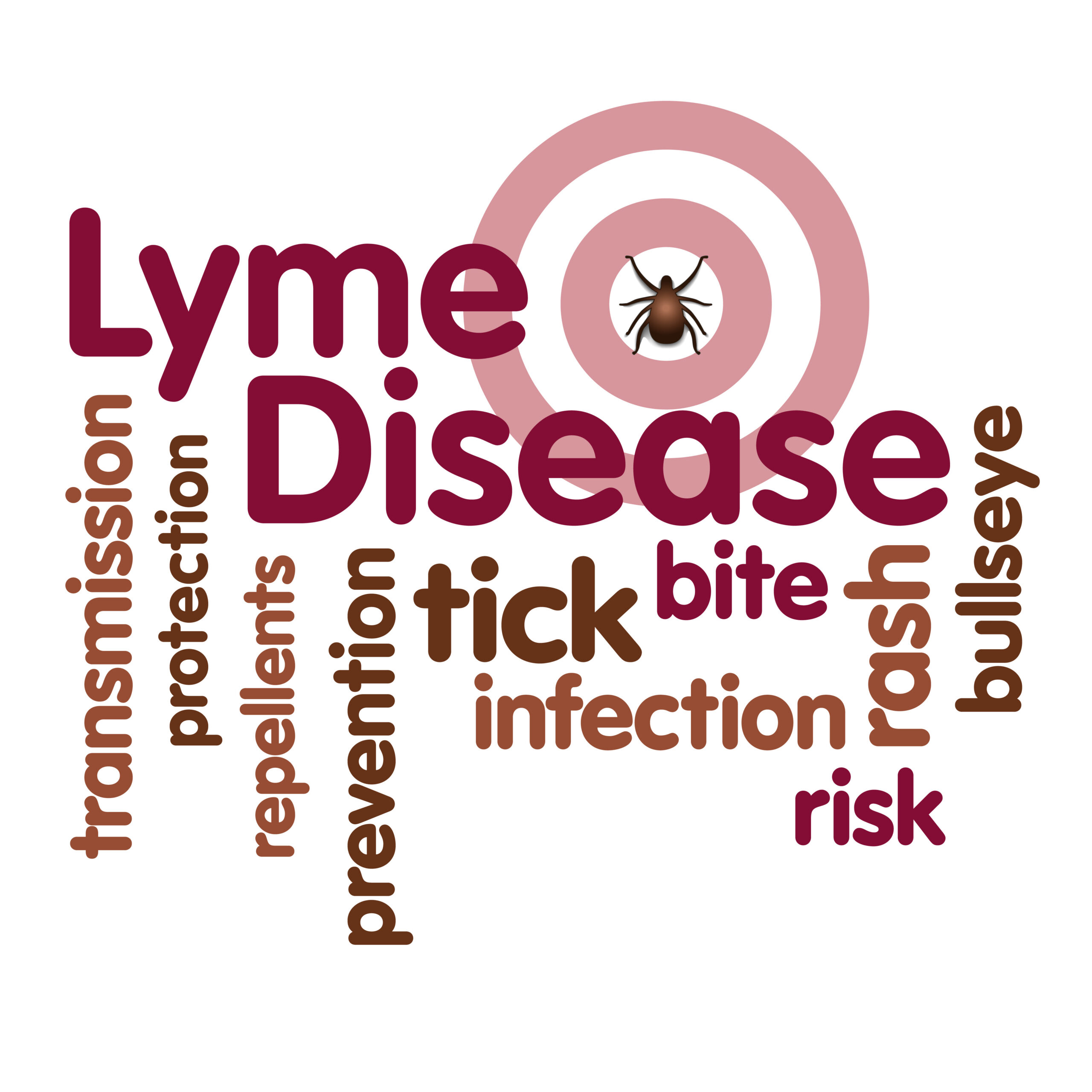 Lyme Disease Brain Inflammation