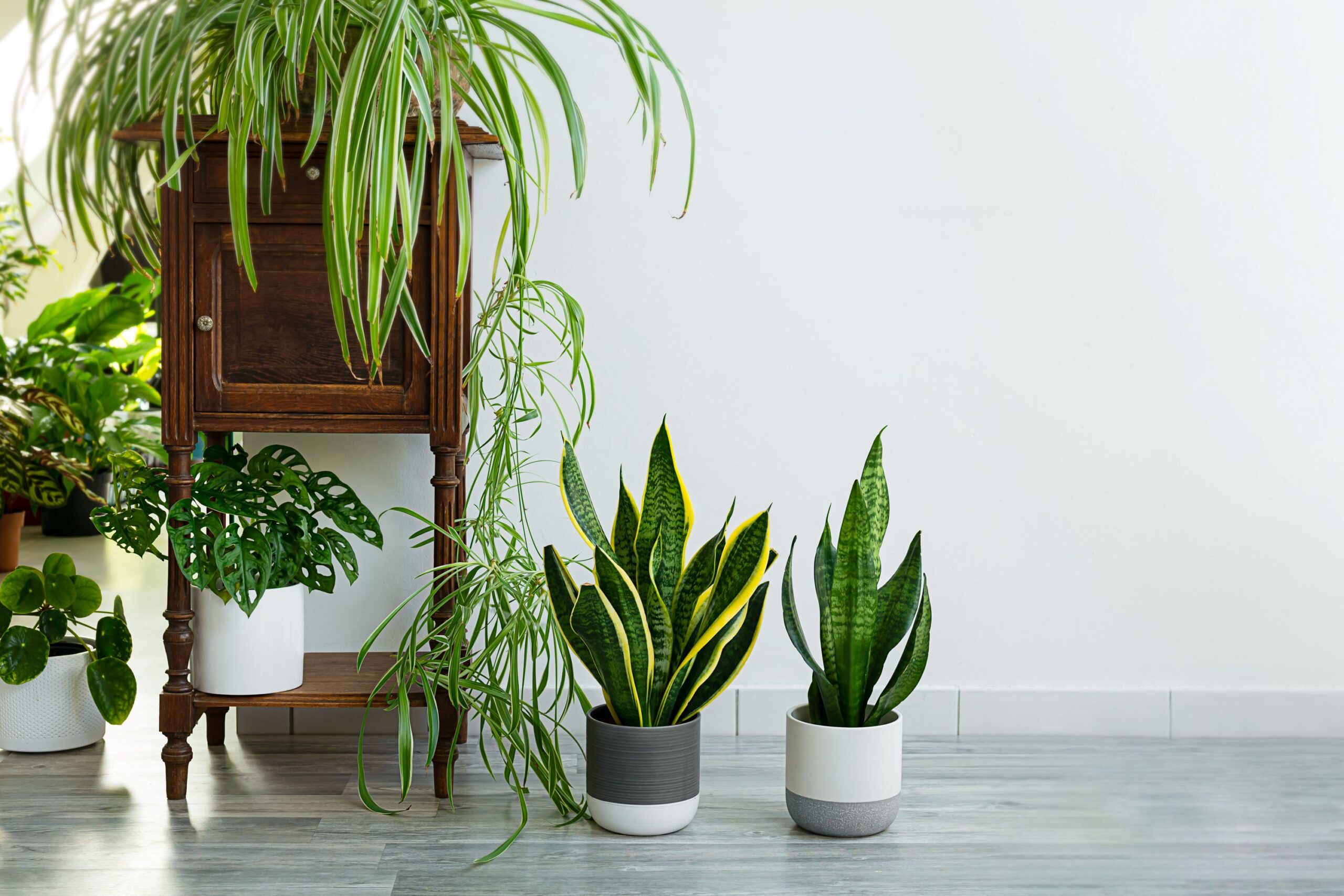 Functional Beauty: Adding A Splash Of Greenery To Your Indoor Spaces