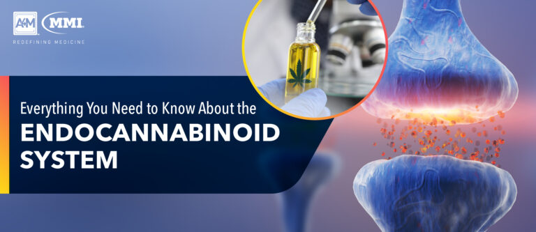 Everything You Need to Know About the Endocannabinoid System