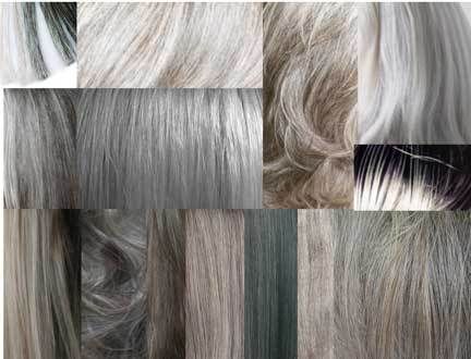 Gray Hair Linked To Immune System