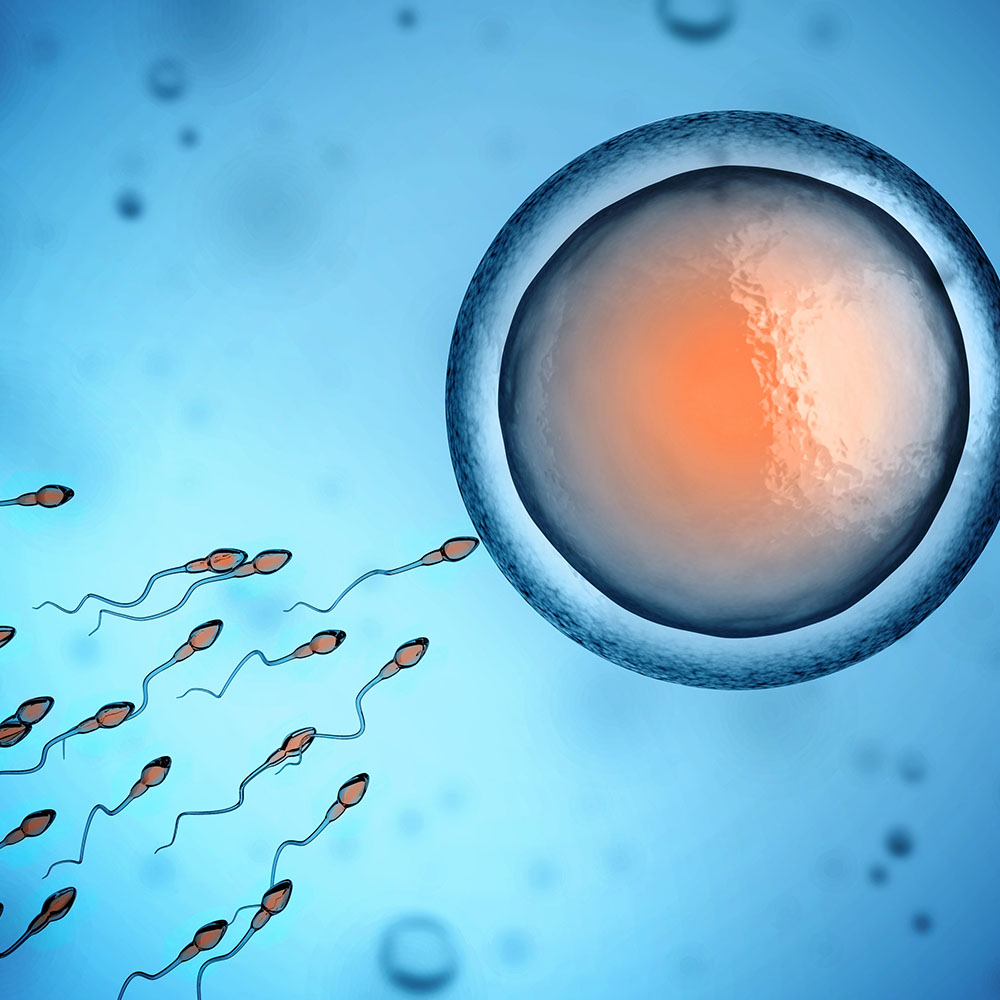 As Men's Weight Rises, Sperm Health May Fall